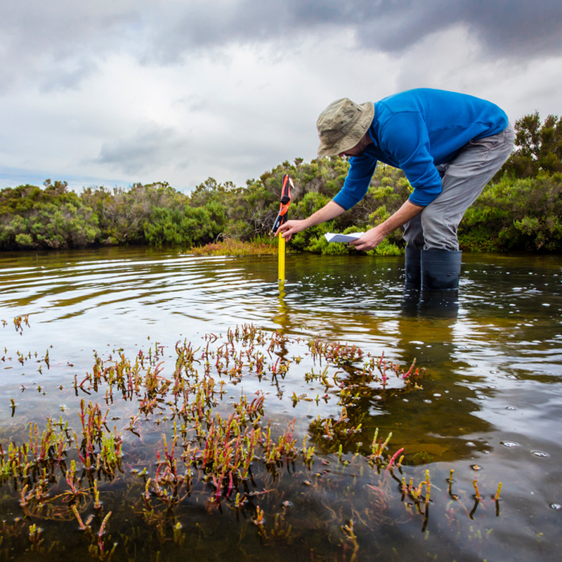 Ecosystem services