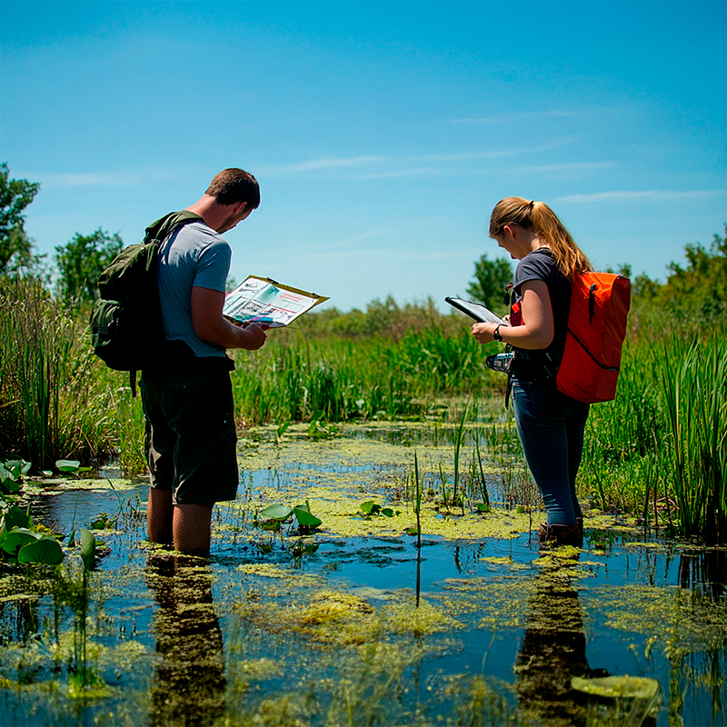 Wetlands in action webinar session 5