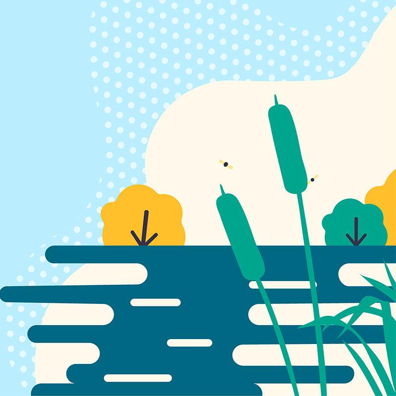 Wetlands in action webinars