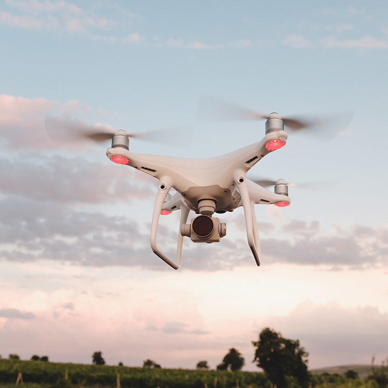 Wetlands in action webinar session 3