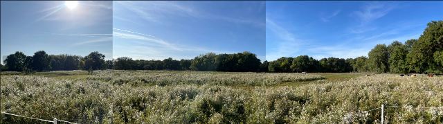 Area of the REWET OL2