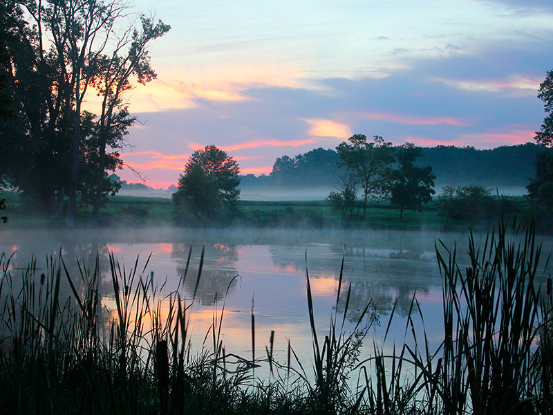 Wetlan area along a highway in central Indiana