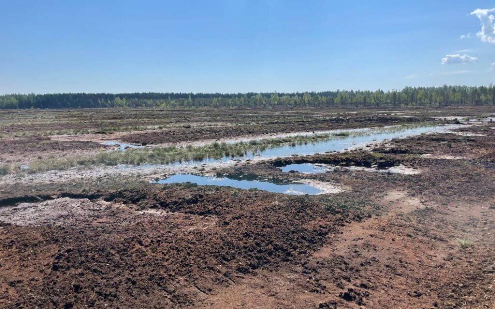 The wetland in the Estonian REWET Open Lab