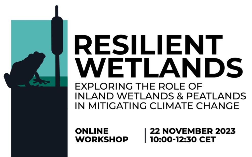 Resilient wetlands promotional image