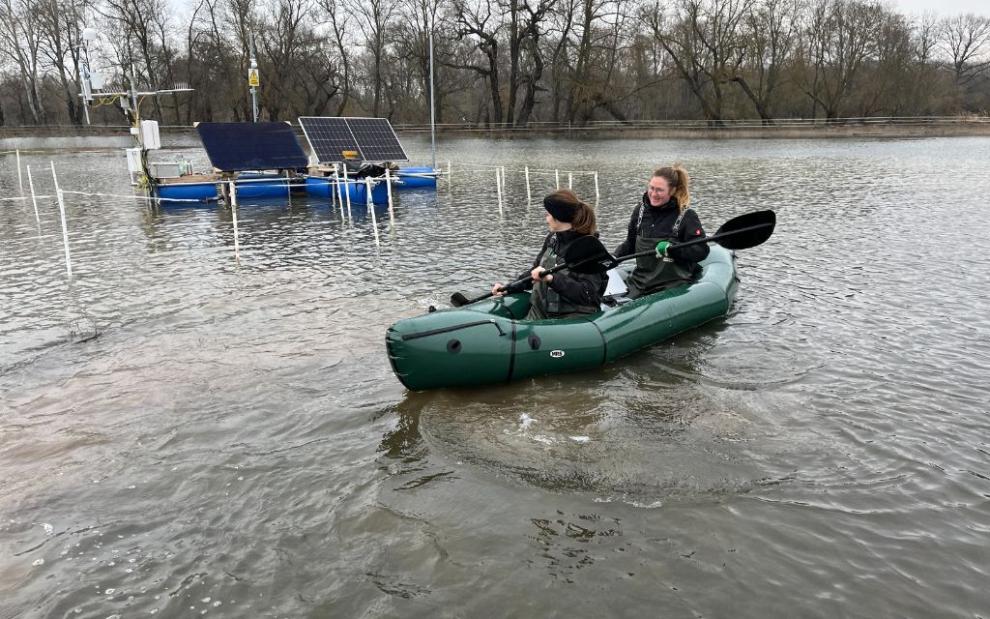 Navigating the recently resotred floodplain