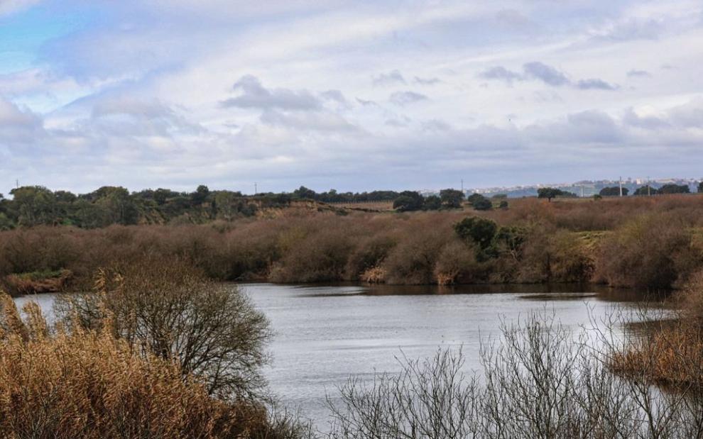 Wetlands