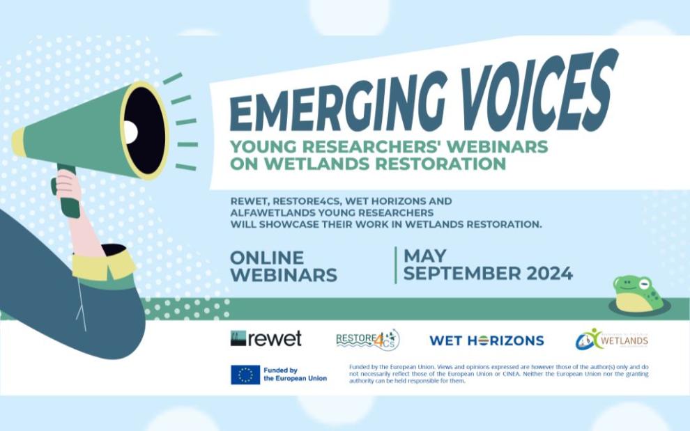 Graphic contribution to the webinar series organized by REWET