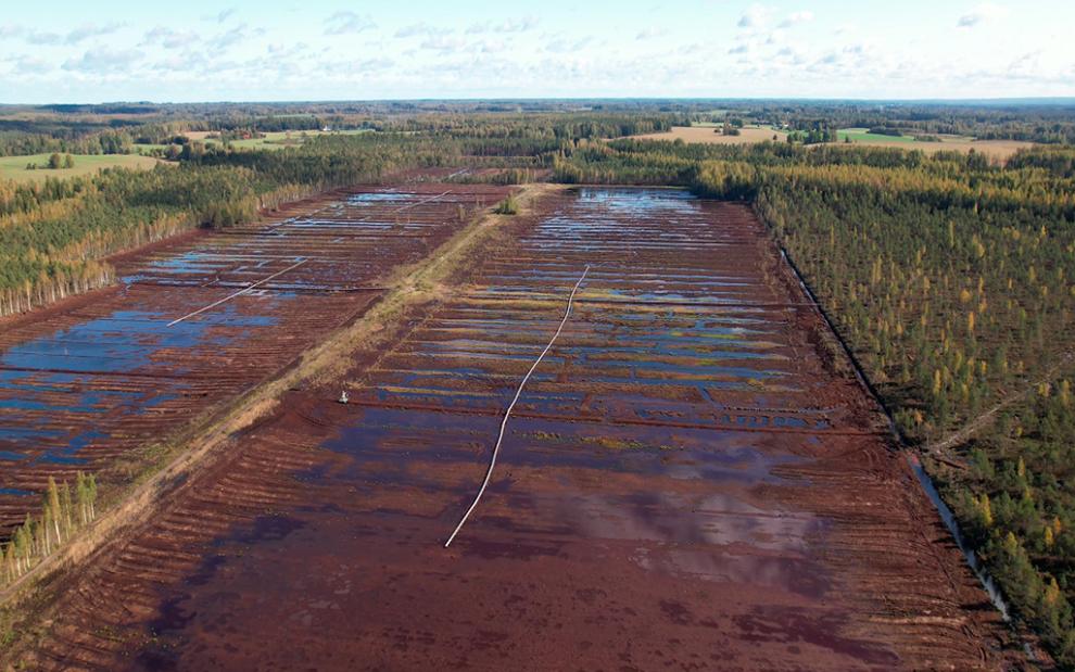 Estonian site