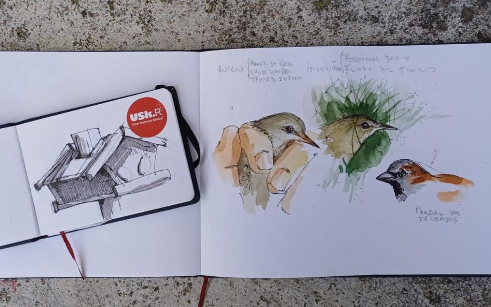 Birds drawn by urban sketchers