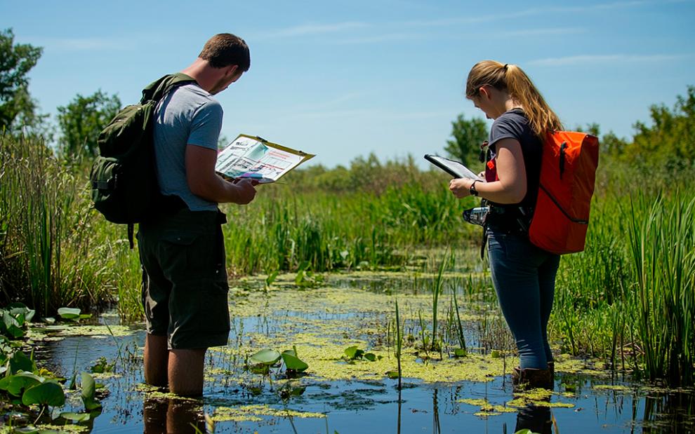 Wetlands in action webinar session 5